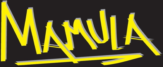 Vladimir&nbsp;Mamula - Fahrschule Mamula